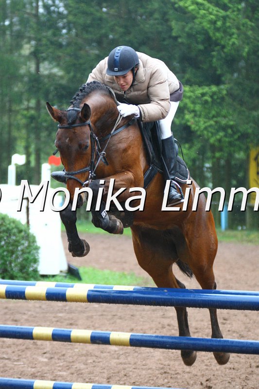 005L4720_Upper Class_Springpferde A xx.JPG